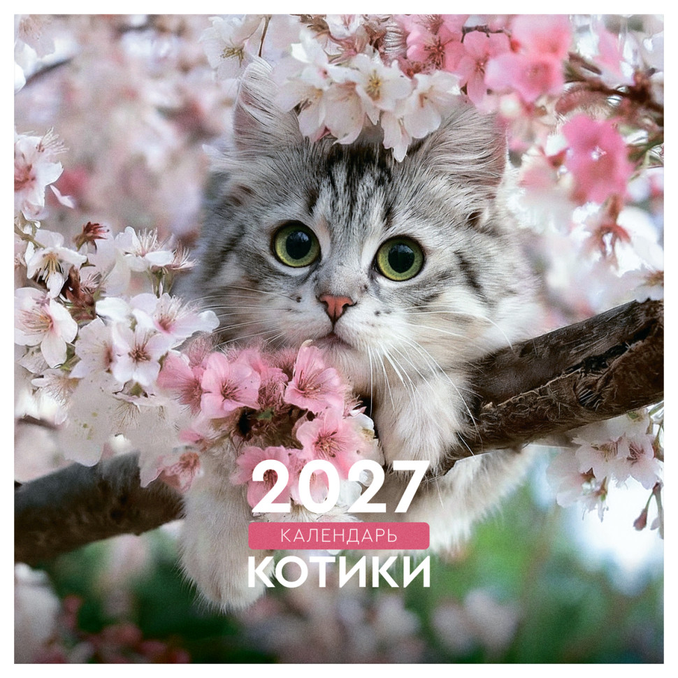 Календарь настенный перекидной на скрепке, 230*230 мм 12л. BG "Котики", 2027г., 390943