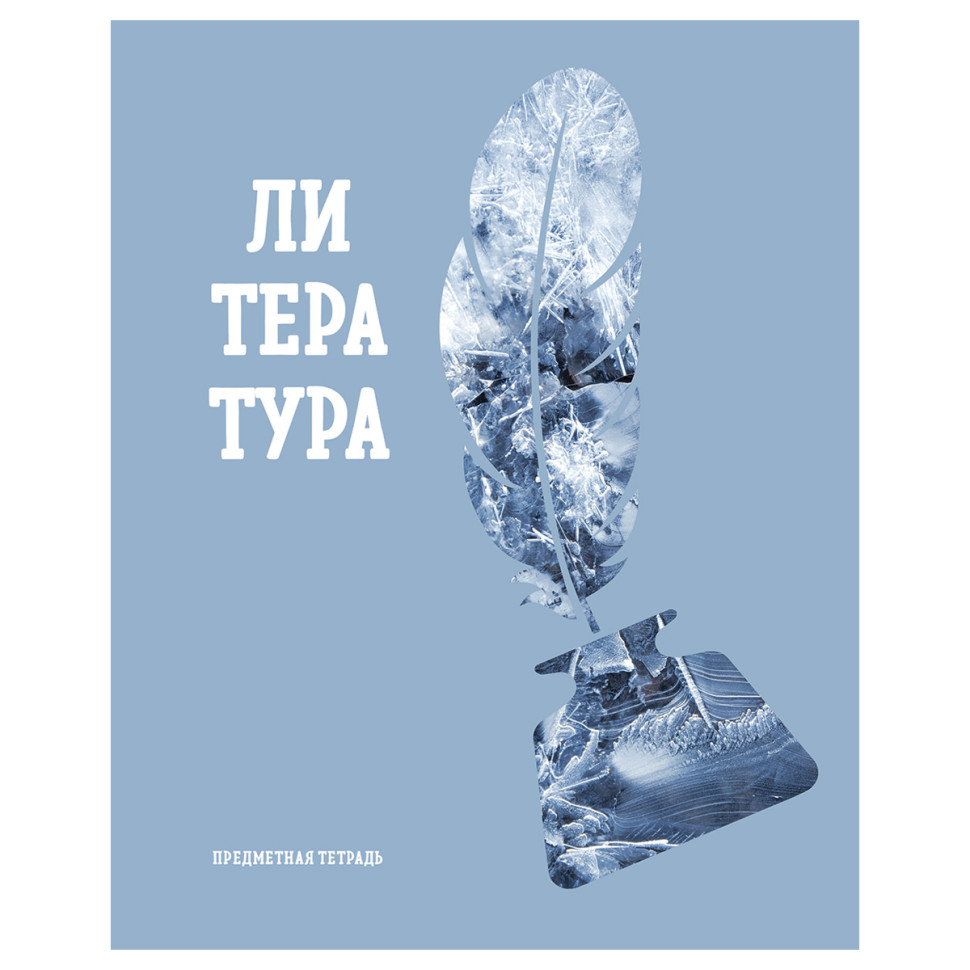 Тетрадь предметная 48л. BG "Подсказки" - Литература, матовая ламинация, микро sandy-touch лак, 10 штук, 363358