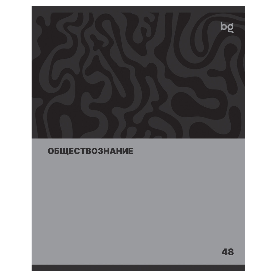 Тетрадь предметная 48л. BG "Single colour" - Обществознание, эконом, 10 штук, 374807